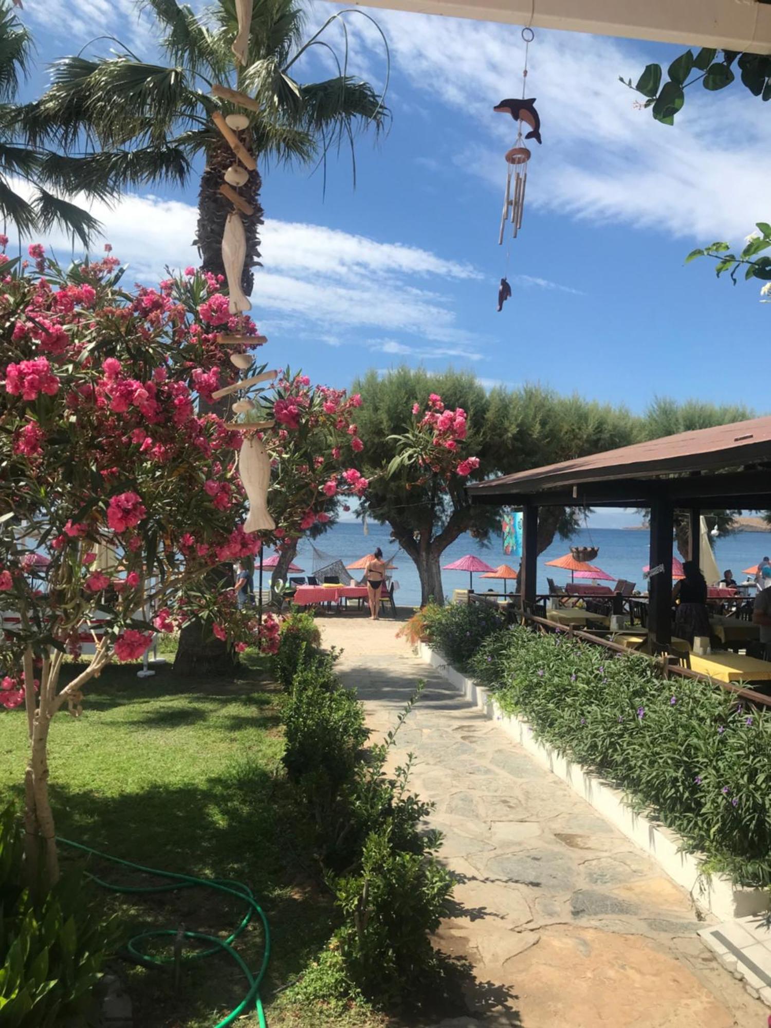 Yilmaz Hotel Ortakent Exterior photo
